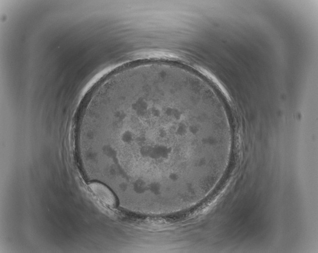 X0000087420983200704201421