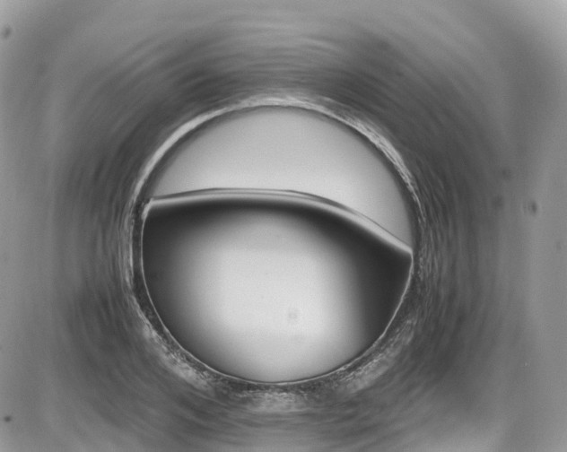 X0000087420984200704201421