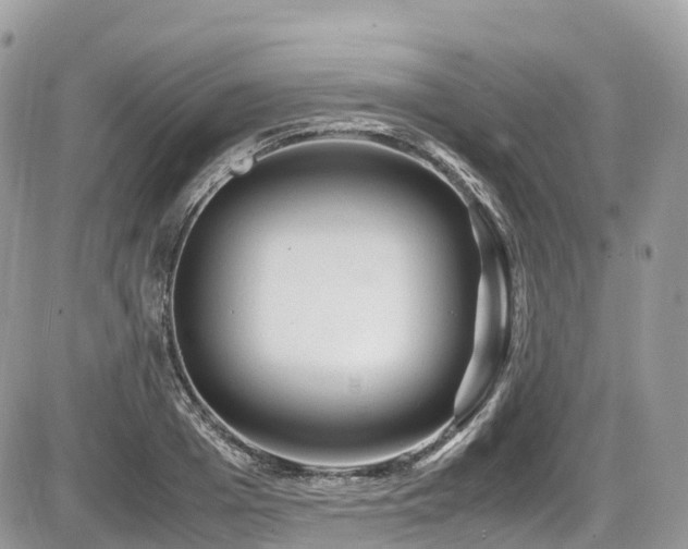 X0000087420985200704201421