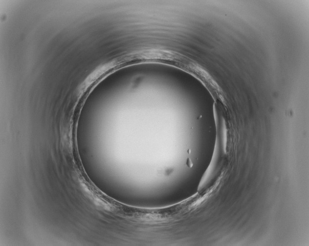 X0000087420986200704201421