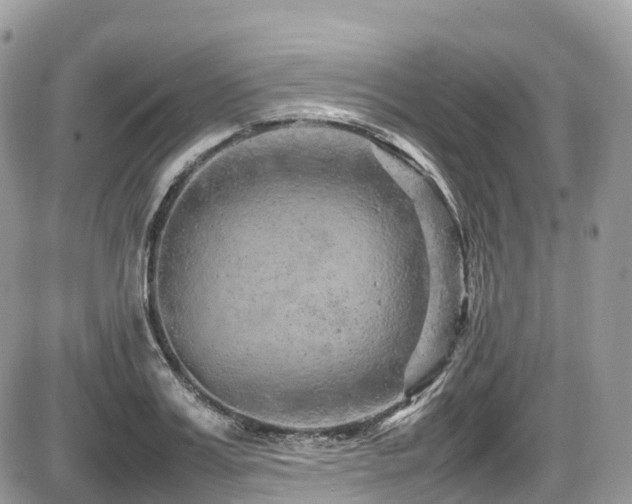 X0000087420987200704201421