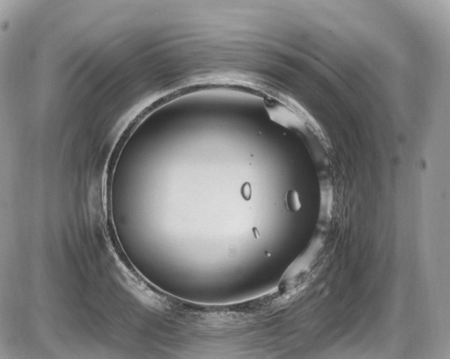 X0000087420988200704201421