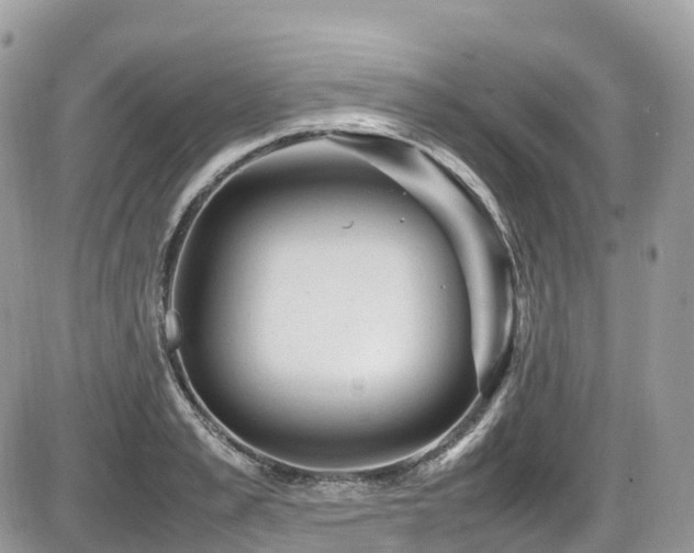 X0000087420989200704201421