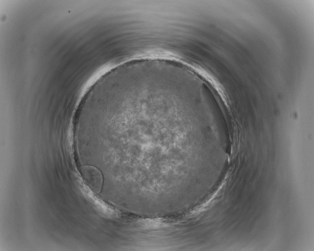 X0000087420990200704201421