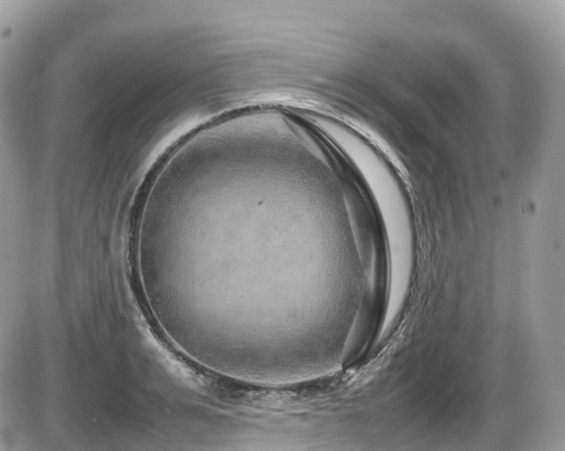 X0000087420991200704201421