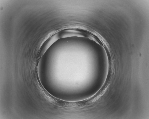 X0000087420993200704201421