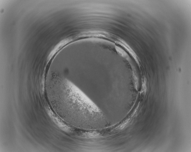 X0000087420994200704201421