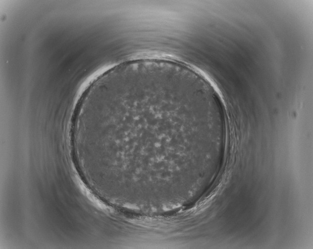 X0000087420995200704201421