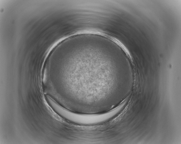 X0000087420996200704201421