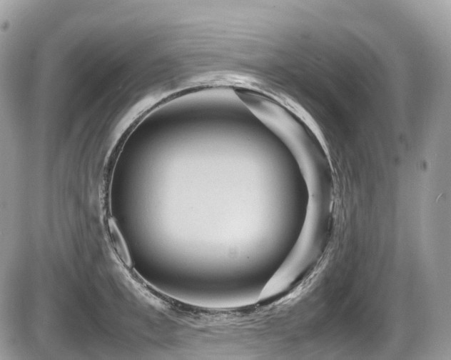 X0000087420997200704201421