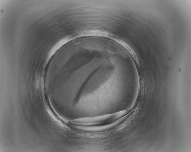 X0000087420998200704201421