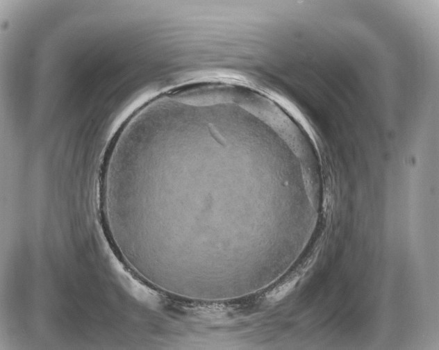 X0000087420999200704201421