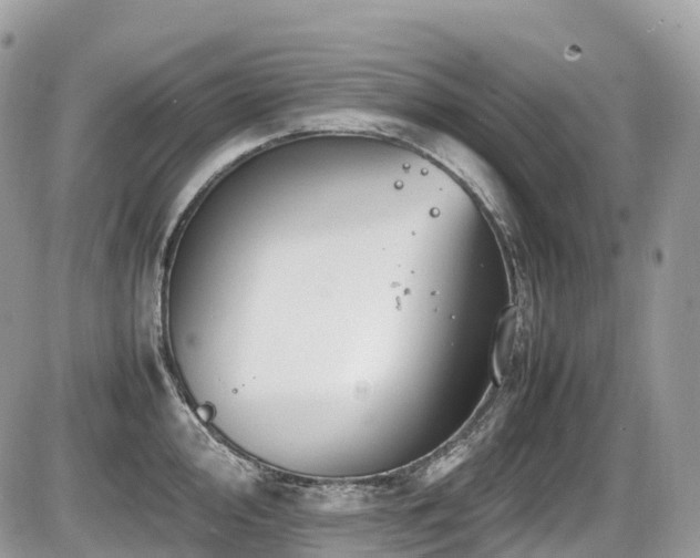 X0000087421000200704201421