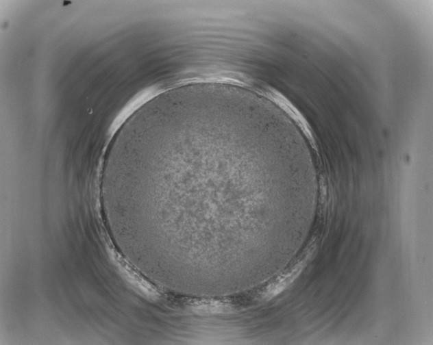 X0000087421002200704201421