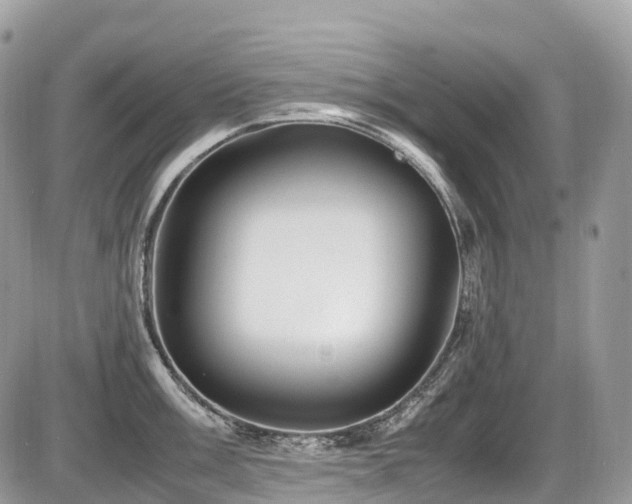 X0000087421003200704201421