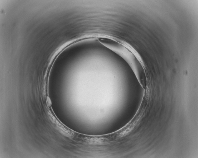 X0000087421004200704201421