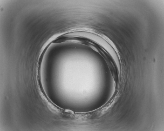 X0000087421005200704201421