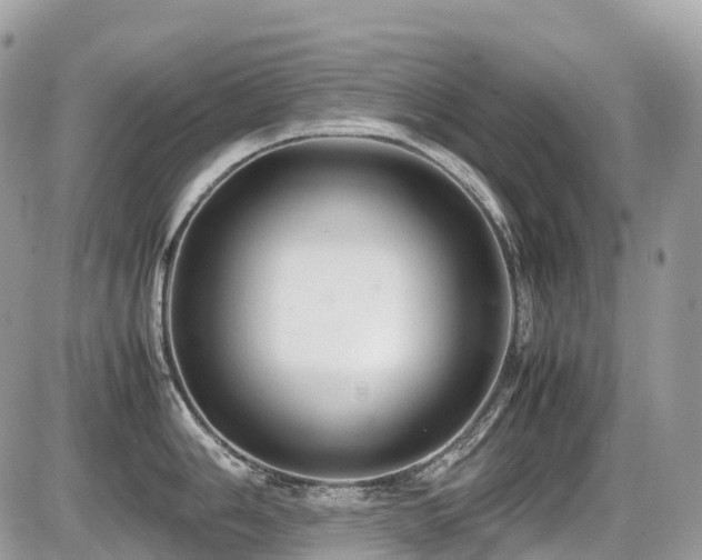 X0000087421006200704201421