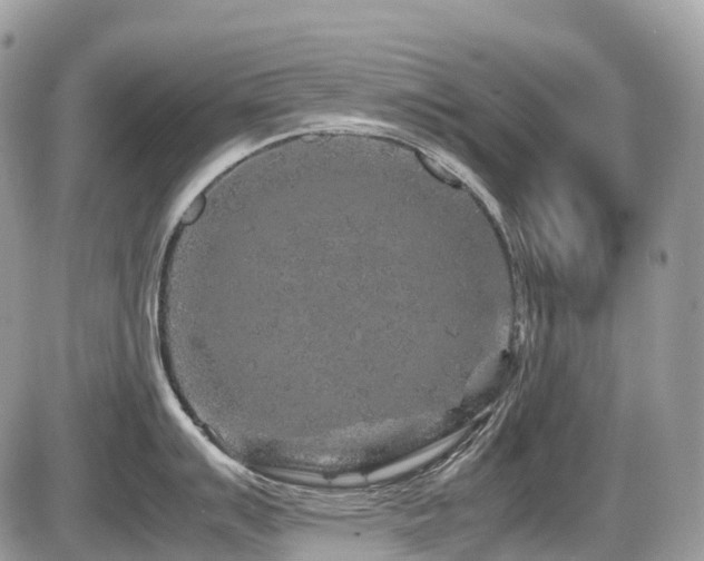 X0000087421007200704201421