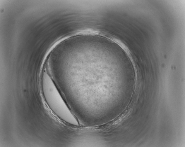 X0000087421008200704201421