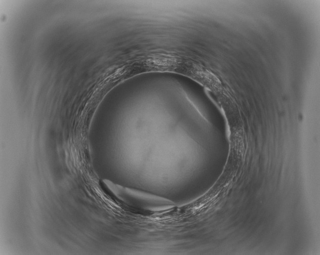 X0000087421009200704201420