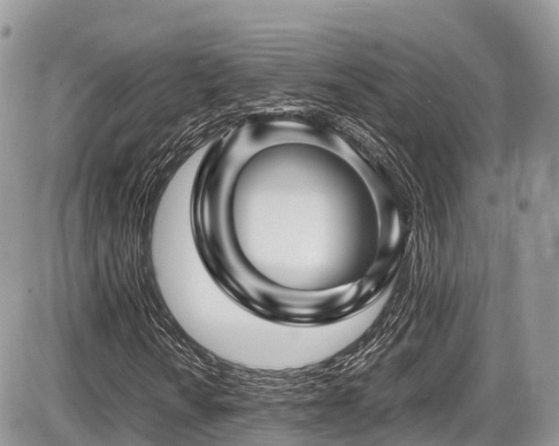 X0000087421010200704201420