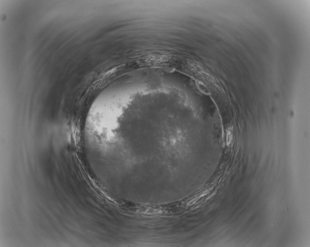 X0000087421011200704201420