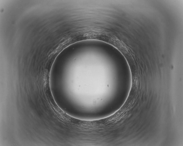 X0000087421012200704201420