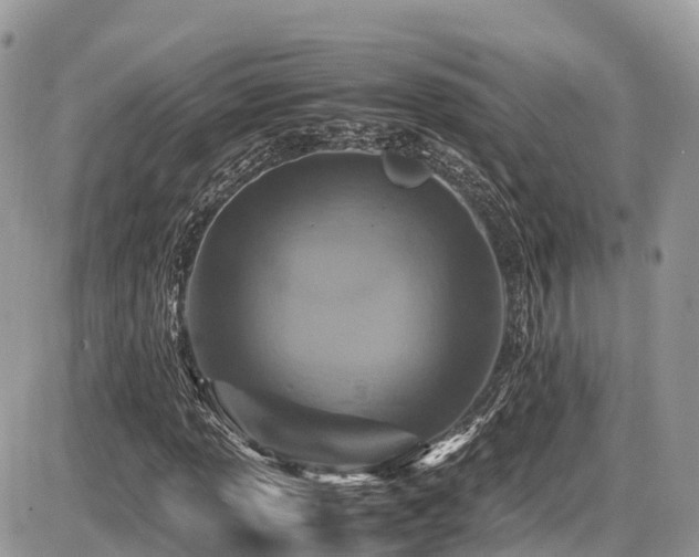 X0000087421013200704201420