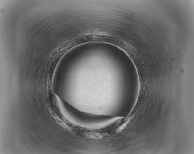 X0000087421014200704201420