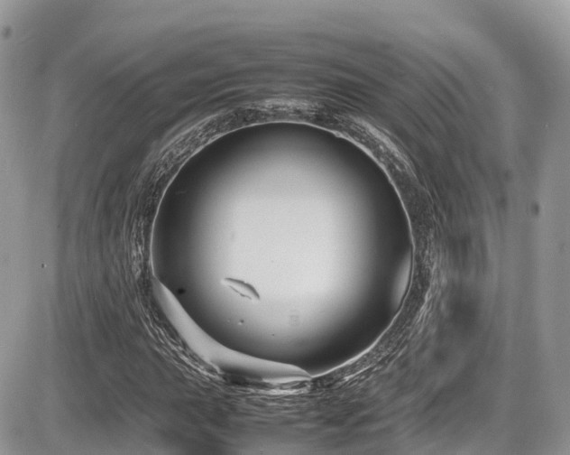 X0000087421015200704201420