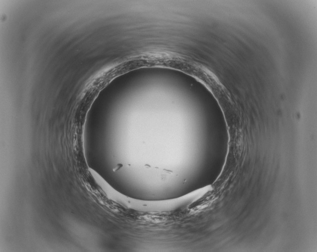 X0000087421016200704201420