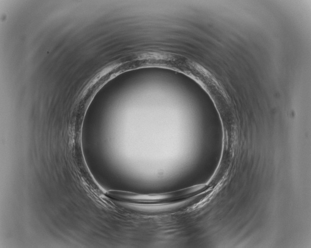 X0000087421017200704201420