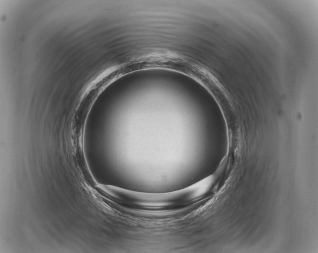 X0000087421018200704201420