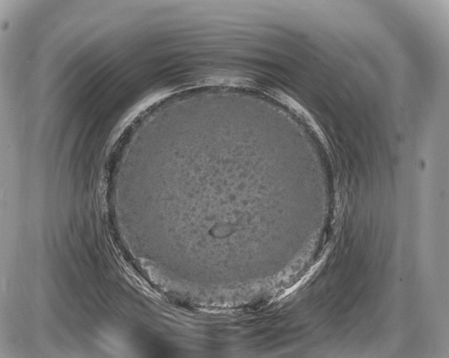 X0000087421019200704201420