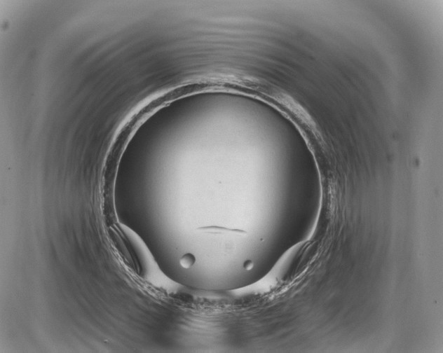 X0000087421020200704201420