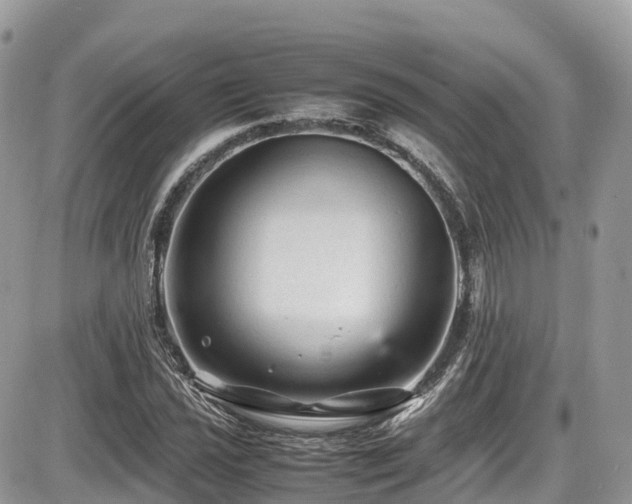 X0000087421021200704201420