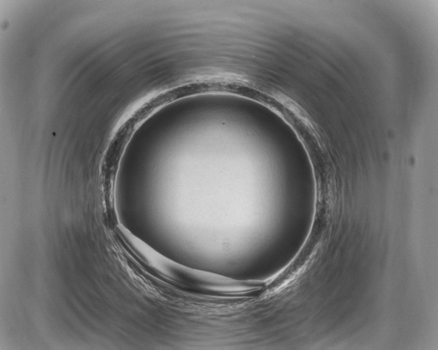 X0000087421022200704201420