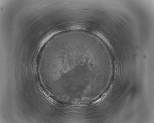 X0000087421023200704201420