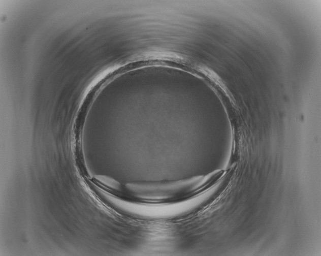 X0000087421024200704201420