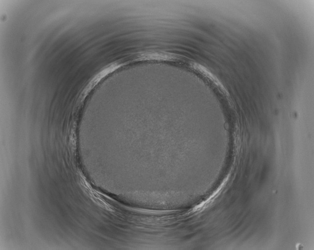 X0000087421025200704201420