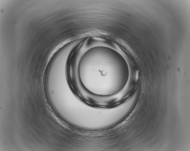 X0000087421026200704201420