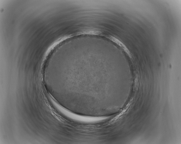 X0000087421027200704201420