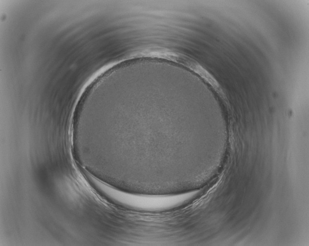 X0000087421028200704201421