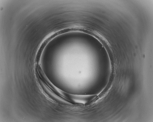 X0000087421029200704201421