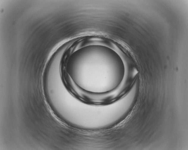 X0000087421030200704201421