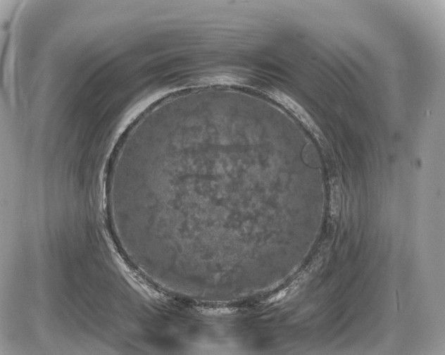 X0000087421031200704201421