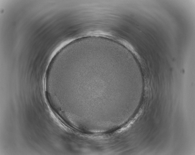 X0000087421032200704201421