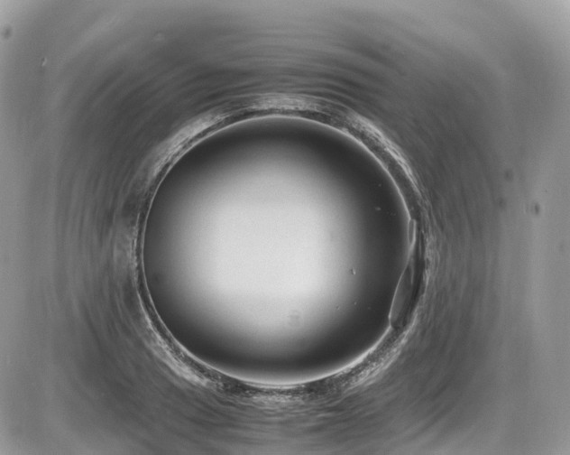 X0000087421033200704201421