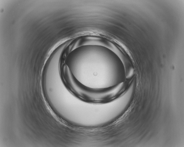 X0000087421034200704201421